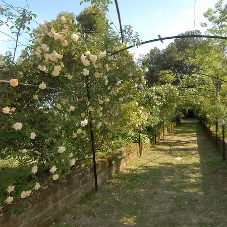 San Gio
