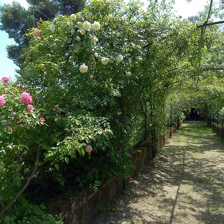 Фермерский дом San Gio Cicignano